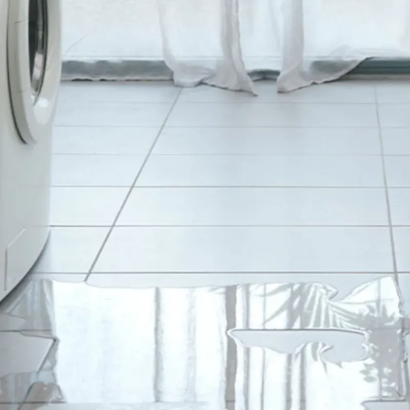 Appliance Leak Cleanup in Little Canada, MN