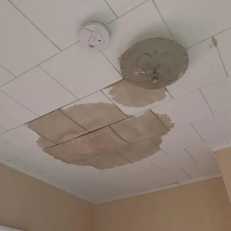 Ceiling Water Damage Repair in Little Canada, MN