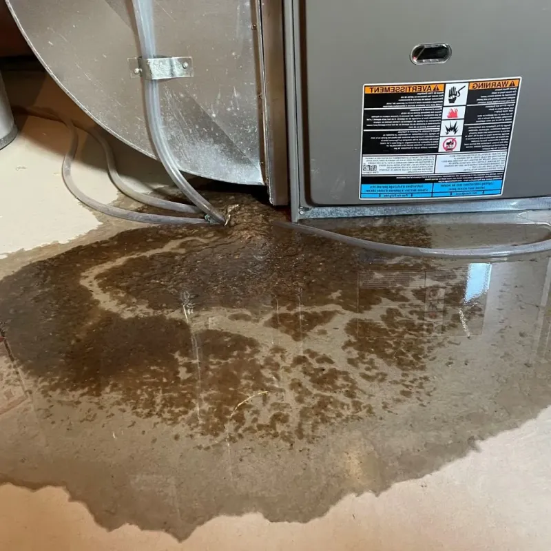 Pipe Burst and Leak Restoration in Little Canada, MN