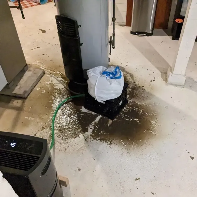 Sewage Backup Cleanup Service in Little Canada, MN